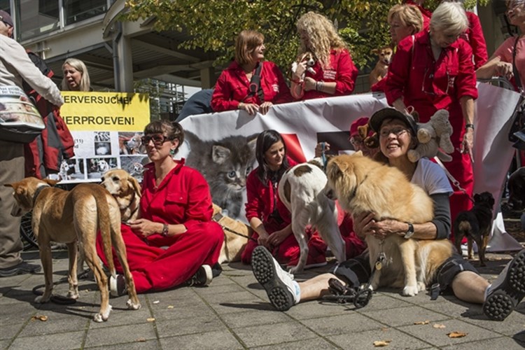 Protesten bij UNS 50 tegen dierproeven